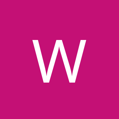 wifigirls