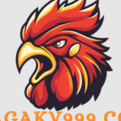 daga7777com