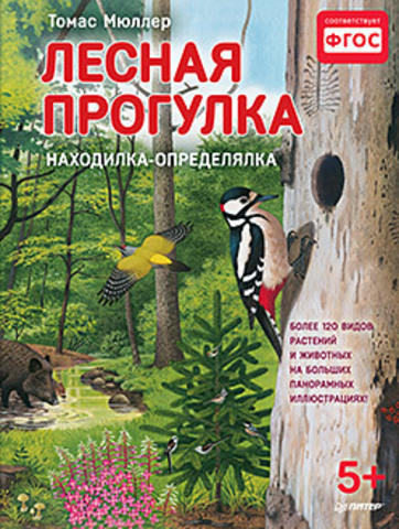 Мюллер Т. Лесная прогулка. Находилка-определялка с панорамн. иллюстр. 5+ Найди более 120 видов растений и животных на больших панорамных иллюстрациях!